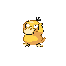 sprite psyduck