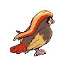 sprite pidgeot