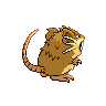 sprite raticate