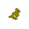 sprite pidgey